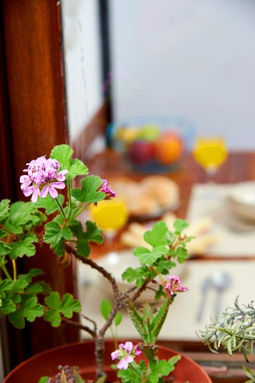 Apartment Garden Saldanha Lissabon