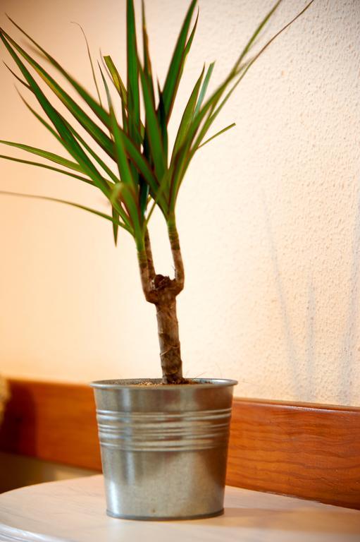 Apartment Garden Saldanha Lissabon